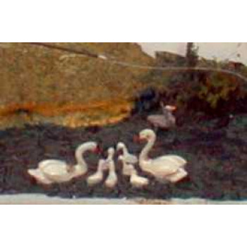 Unpainted Whitemetal Swans and Cygnets
