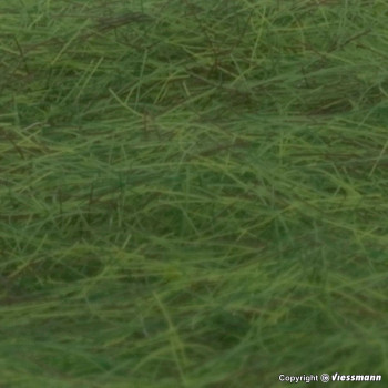 Forest Green Grass Fibres 6mm (60g)