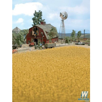 Harvest Corn Field Brown