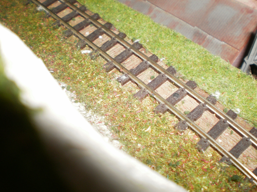 Secured track using track pins.