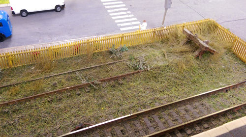 Overgrown grass on laid track.