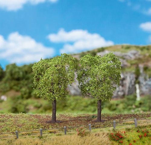 FA181191 Elm Trees. FA181191 Elm Trees.