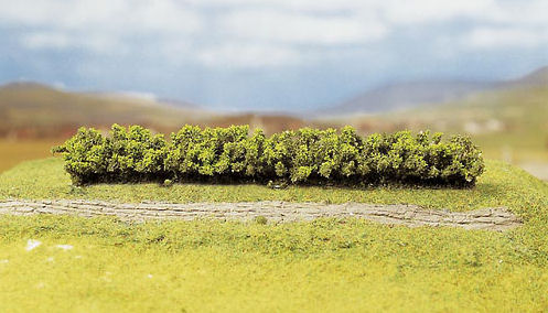 FA181350 Light Green Premium Hedges. FA181350 Light Green Premium Hedges.
