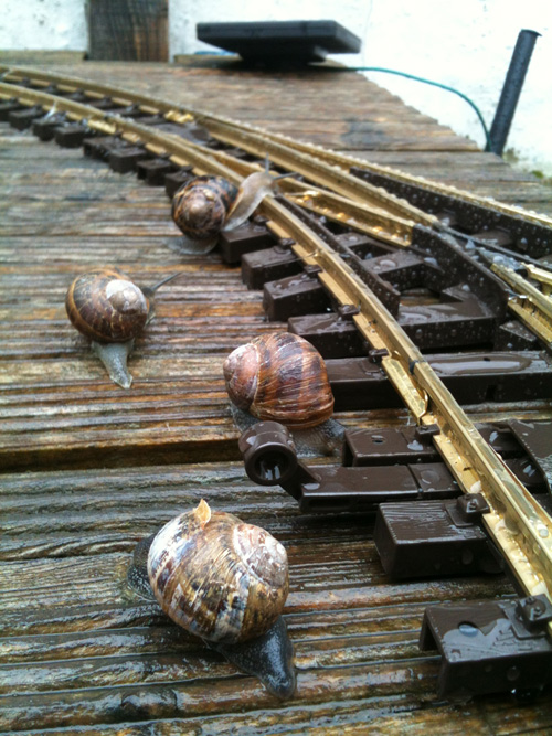 Snails on Rails.