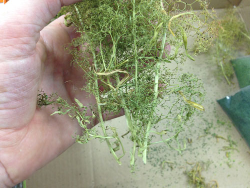 Seafoam Trees Kit 10. Seafoam Trees Kit 10.