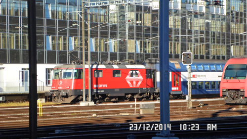 Lions in Zurich image 01.