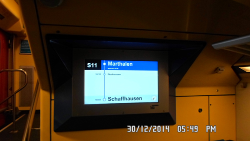 Lions in Zurich image 11.