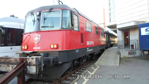 Lions in Zurich image 02.