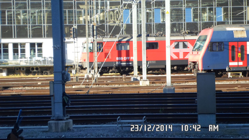 Lions in Zurich image 05.