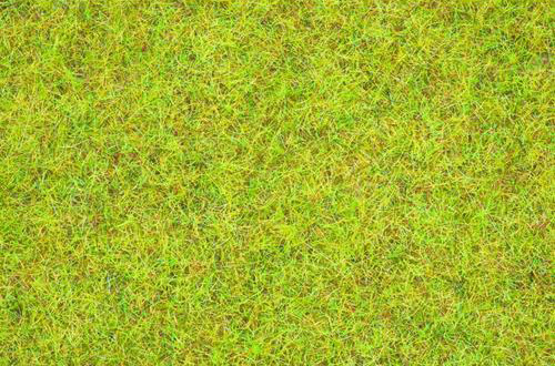 Summer Meadow Scatter Grass 2.5mm (120g)