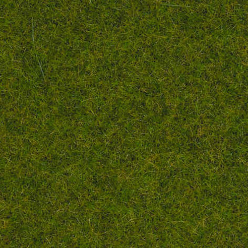 Ornamental Lawn Scatter Grass 2.5mm (20g)