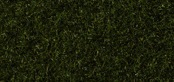 Marsh Green Scatter Grass 2.5mm (20g)