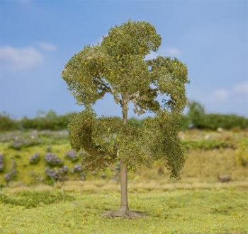 Oak 130mm Premium Tree