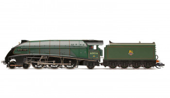 A4 Class 60016 'Silver King' BR Green (DCC-Sound)
