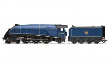 A4 Class 60025 'Falcon' BR Blue