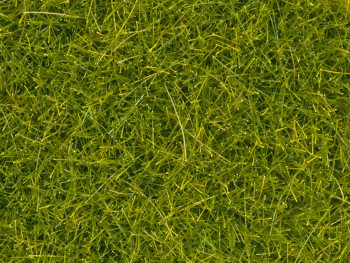 Light Green Scatter Grass 4mm (20g)
