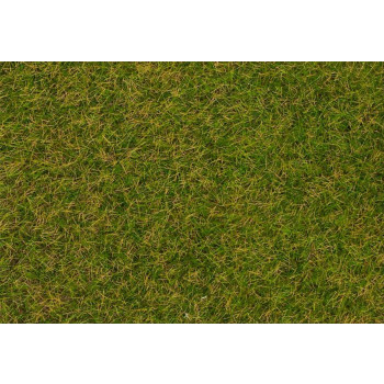 Early Summer Lawn Wild Grass Fibres 4mm (80g)