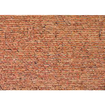 Clinker Brick Wall Card 250x125mm