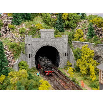 Double Track Tunnel Portal I