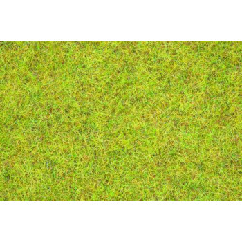 Summer Meadow Scatter Grass 2.5mm (120g)