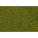 Early Summer Lawn Wild Grass Fibres 4mm (30g)