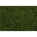 Dark Green Wild Grass Fibres 4mm (30g)