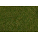 Summer Lawn Wild Grass Fibres 4mm (80g)