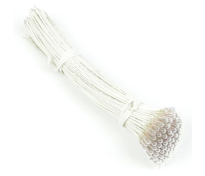 Clear 12v Grain of Wheat Bulbs (100)