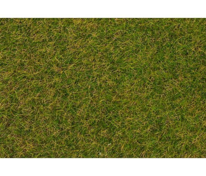 Early Summer Lawn Wild Grass Fibres 4mm (1kg)