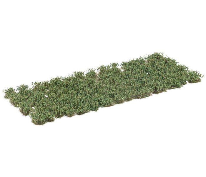 Flower Clusters Dark Green