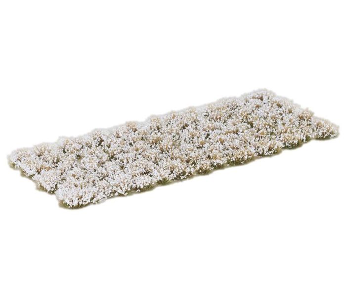 Flower Clusters White