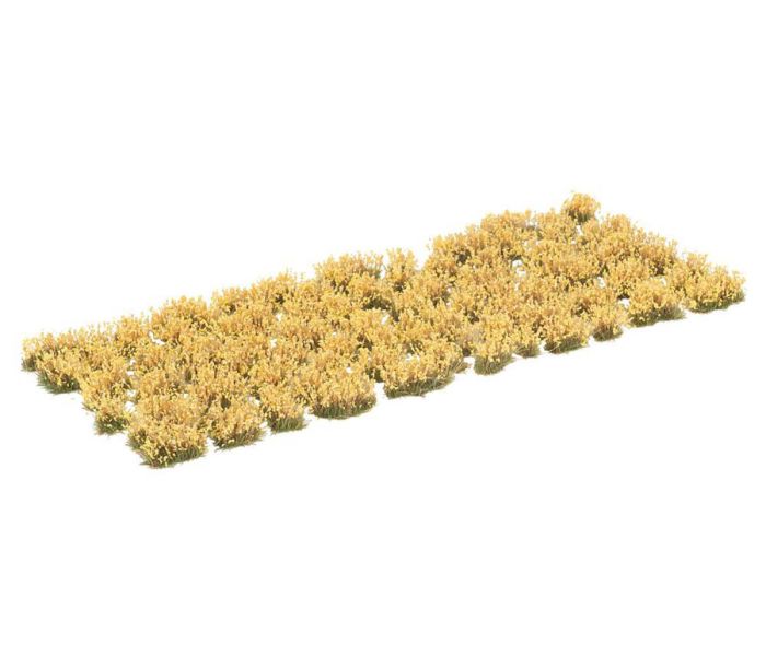 Flower Clusters Yellow