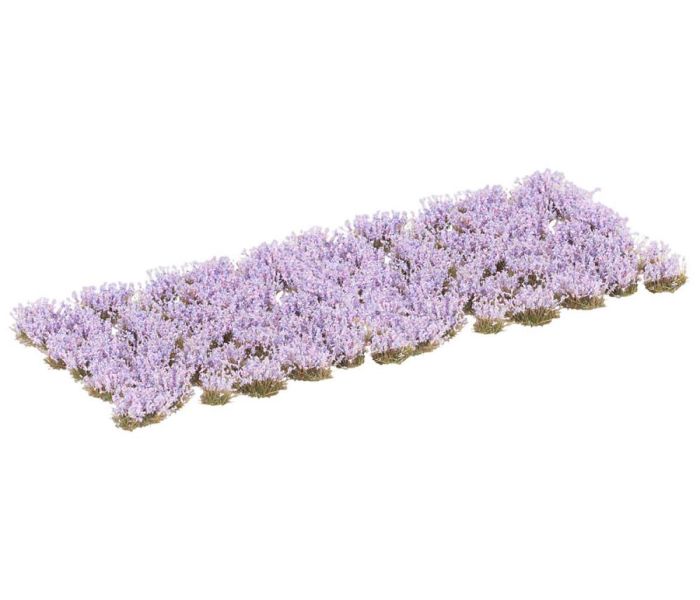 Flower Clusters Violet