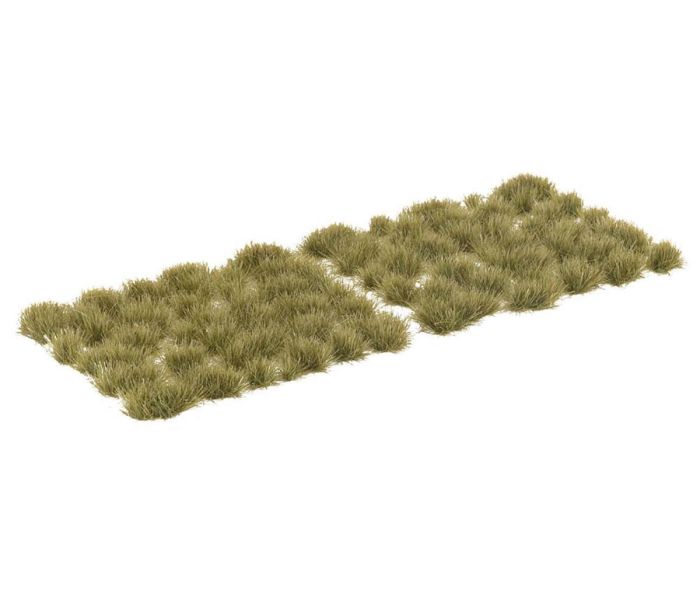 Tufts of Grass Dry