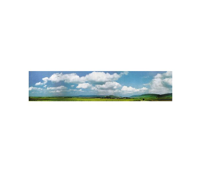 Black Forest/Baar Model Background Extension 3880x650mm