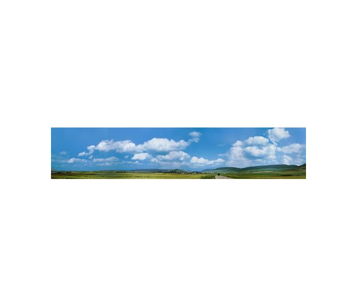 Black Forest/Baar Model Background 3880x650mm