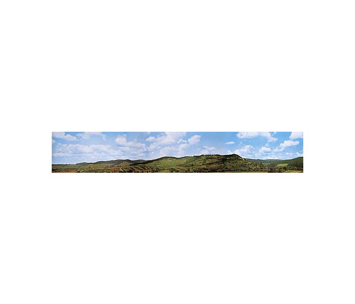 Lowenstein/Wurttemberg Model Background 2900x450mm