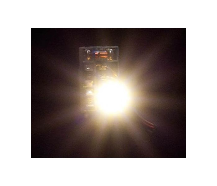 Warm White LEDs (5)