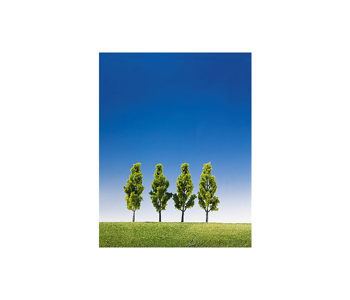Birch Trees 90mm (4)