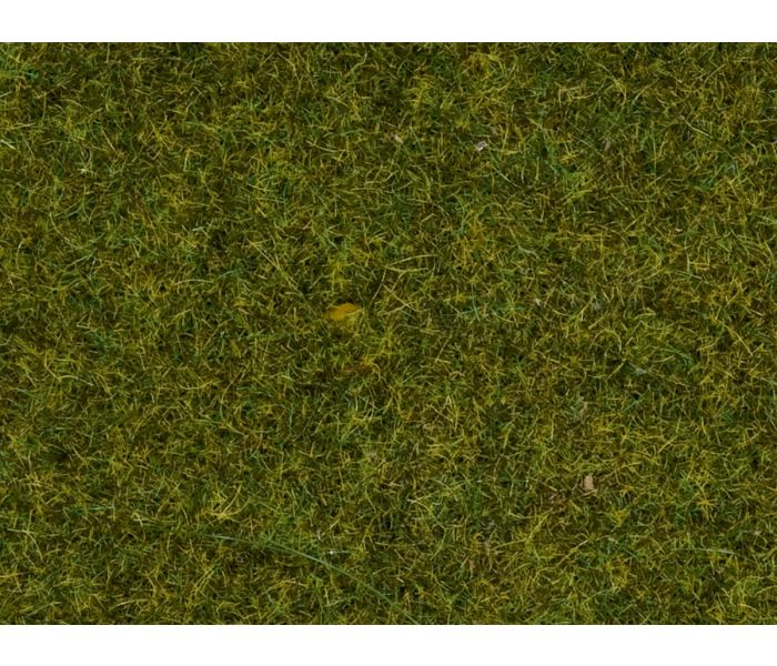 Meadow 2.5mm Static Grass 30g