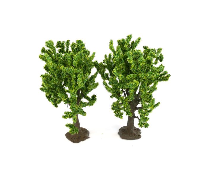 Beech Trees (2) (GM188)