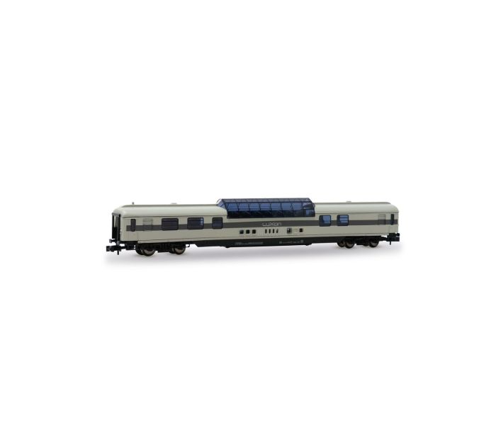 RailAdventure Dome Car Grey VI
