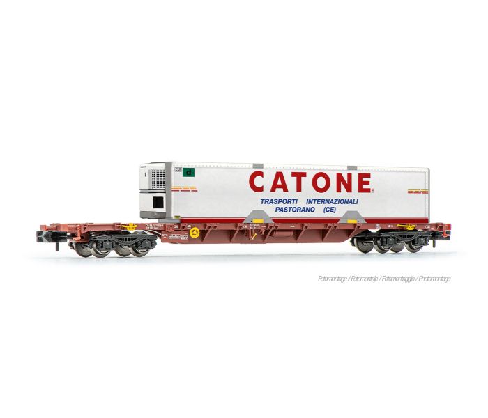 FS Sgnss Flat Wagon w/Catone Container Load V