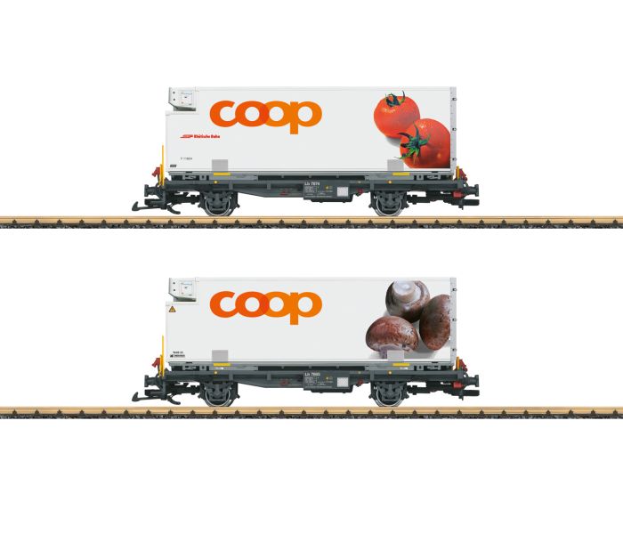RhB Coop Container Wagon Set (2) VI