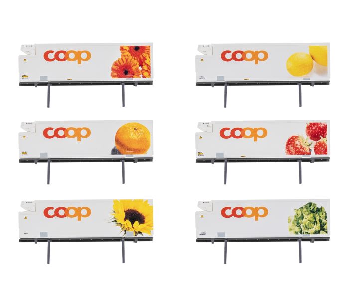 Coop Container Set (6)