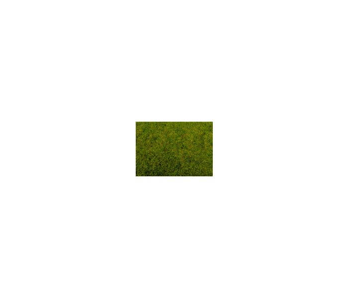 Spring Meadow Scatter Grass 2.5mm (20g)