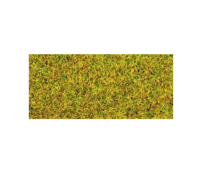 Summer Meadow Scatter Grass 2.5mm (20g)