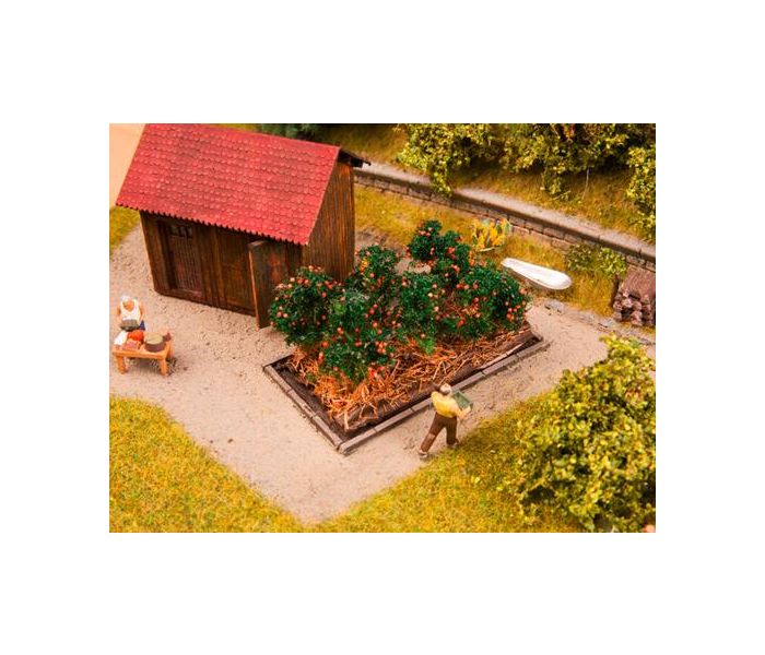 Tomato Plants (6) Deco Minis