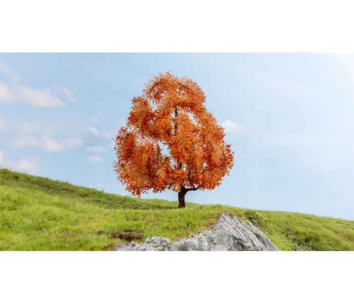 Autumnal Maple 15cm Master Tree