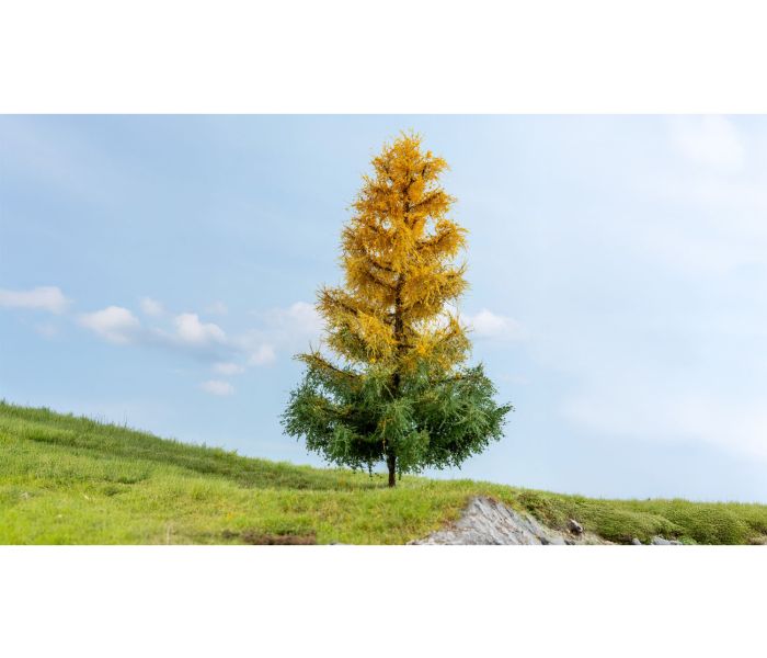 Autumnal Larch 19cm Master Tree